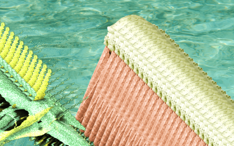 Getting Jiggy With Jet Fuel Gelato 24 jet fuel gelato review