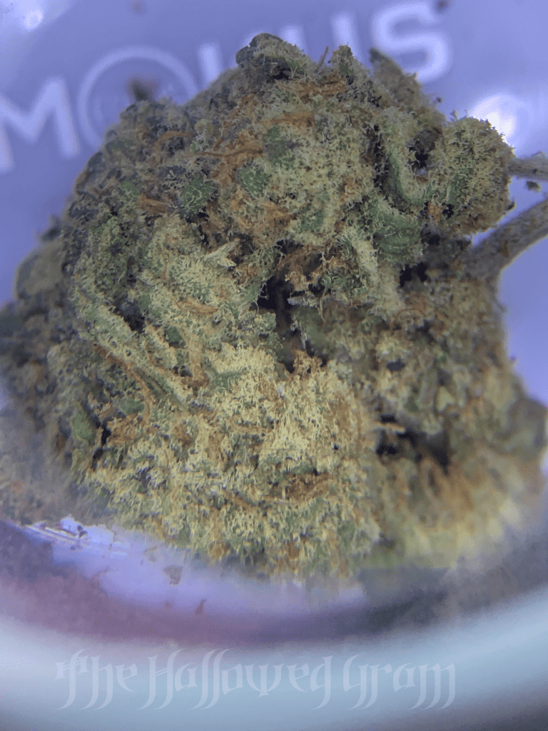 Tang Breath - It'S A Kick In The Glassware! 24 tang breath flower