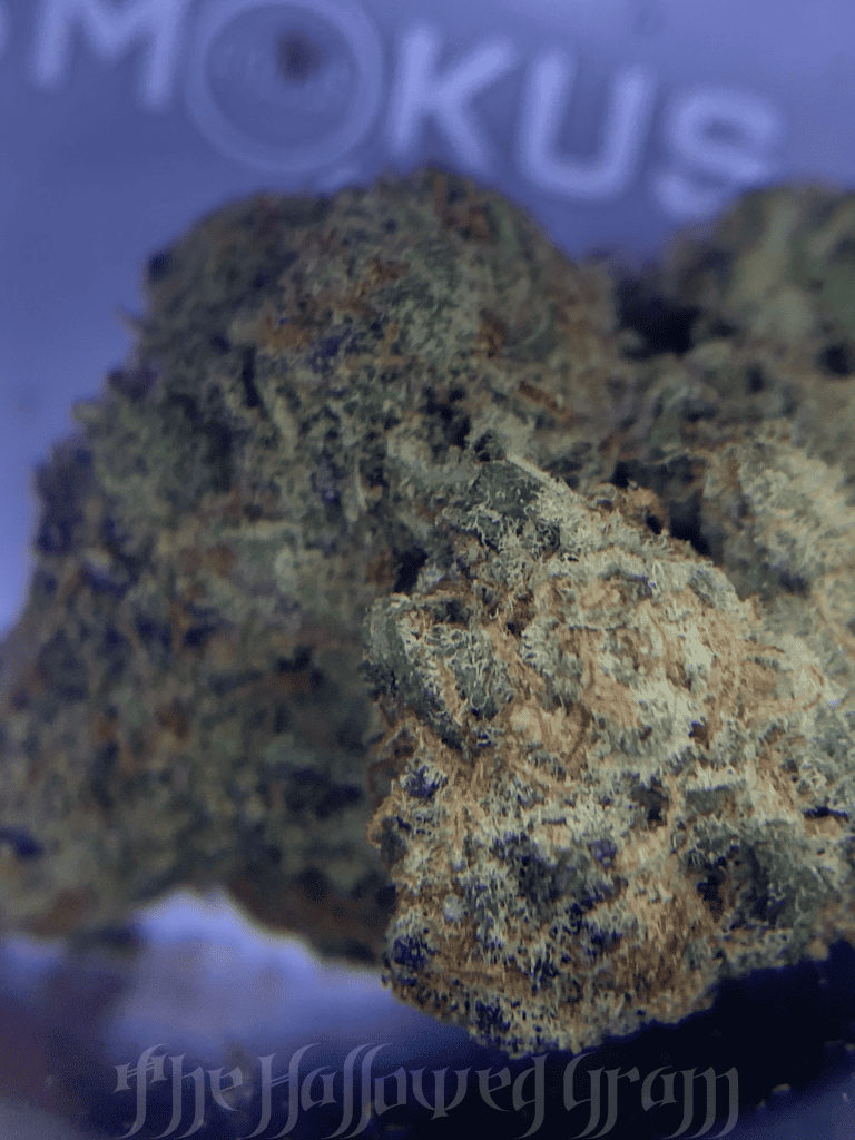 Tang Breath - It'S A Kick In The Glassware! 23 tang breath review