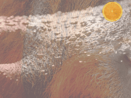 Tang Breath - It'S A Kick In The Glassware! 37 tang breath strain review