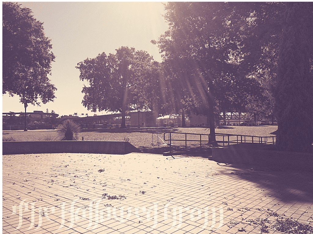 Enjoying Marijuana Induced Melancholy 26 naito park autumn