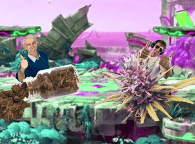 In Defense Of Objectively Inferior Boomer Weed 19 boomer weed vs modern weed