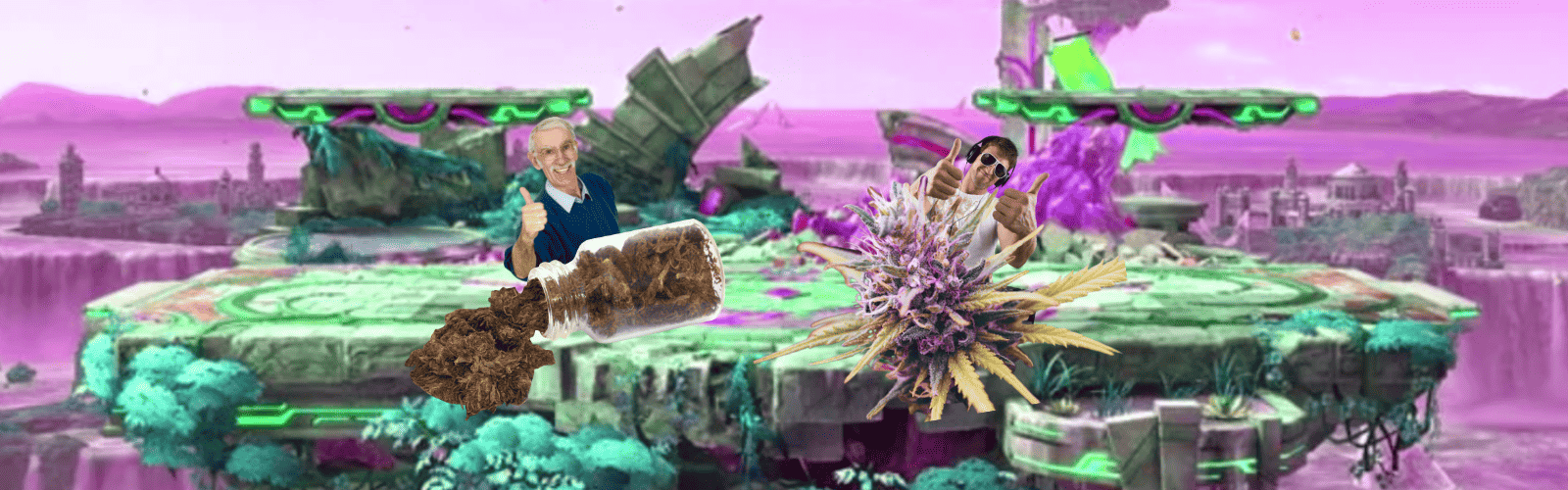 In Defense Of Objectively Inferior Boomer Weed 22 boomer weed vs modern weed