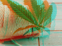 Hemp Wick: Separating Fact From Fiction 48 hemp wick benefits