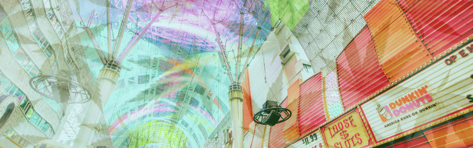 72 Hours Of Stoned Adventures In Las Vegas 19 smoking weed in las vegas