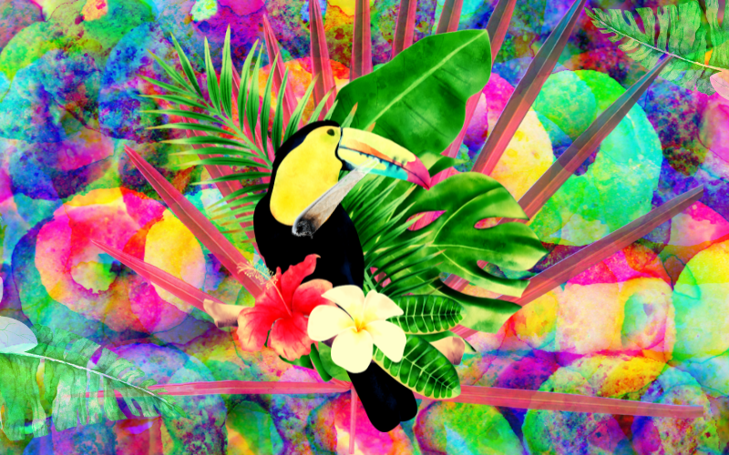 Flying High Above The Jungle With Fruit Loops 26 fruit loops from high places