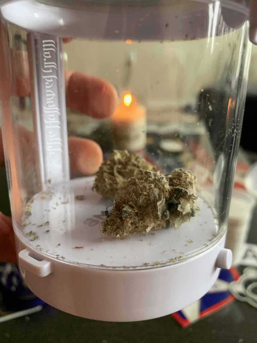 Fruit Loops Strain Review: Flying High With The Toucan