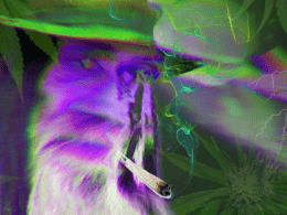 An Introduction To The Dark Arts Of Mixing Different Cannabis Strains 41 mixing strains