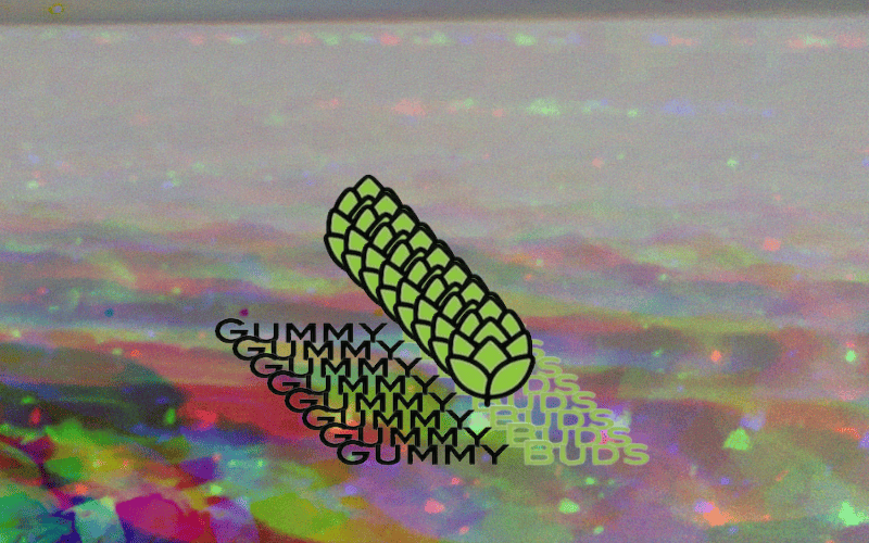 Feeling The Full Impact Of Gummy Buds Rso Gummies 25 gummy buds on the beach in oregon