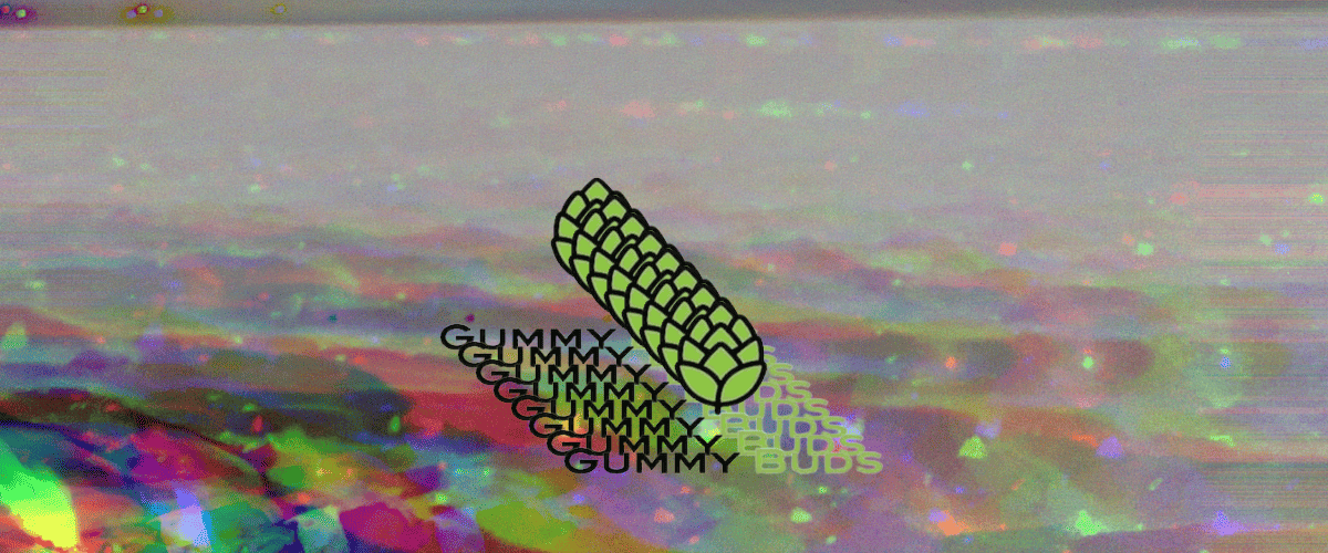 Feeling The Full Impact Of Gummy Buds Rso Gummies 22 gummy buds on the beach in oregon