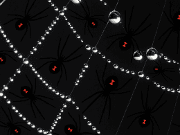 Befriending The Legendary Black Widow 40 black widow