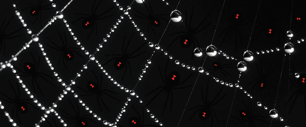 Befriending The Legendary Black Widow 22 black widow