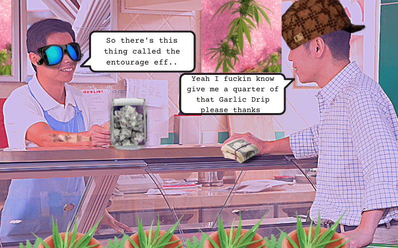 Deli-Style Dispensaries Vs. Pre-Packaged Dispensaries 34 deli style dispensary