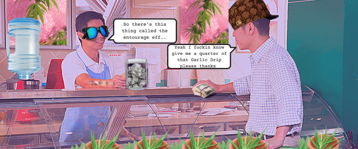 Deli-Style Dispensaries Vs. Pre-Packaged Dispensaries 22 deli style dispensary