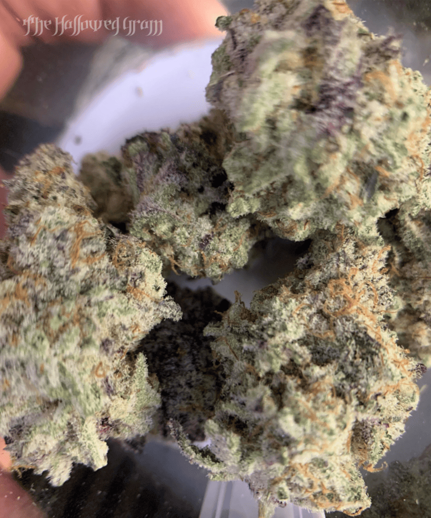 Return Of The #1 Mac 27 mac #1 cannabis flower