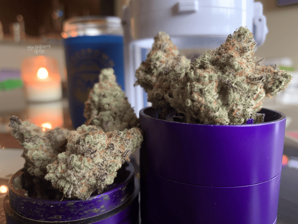 Return Of The #1 Mac 23 mac #1 strain review