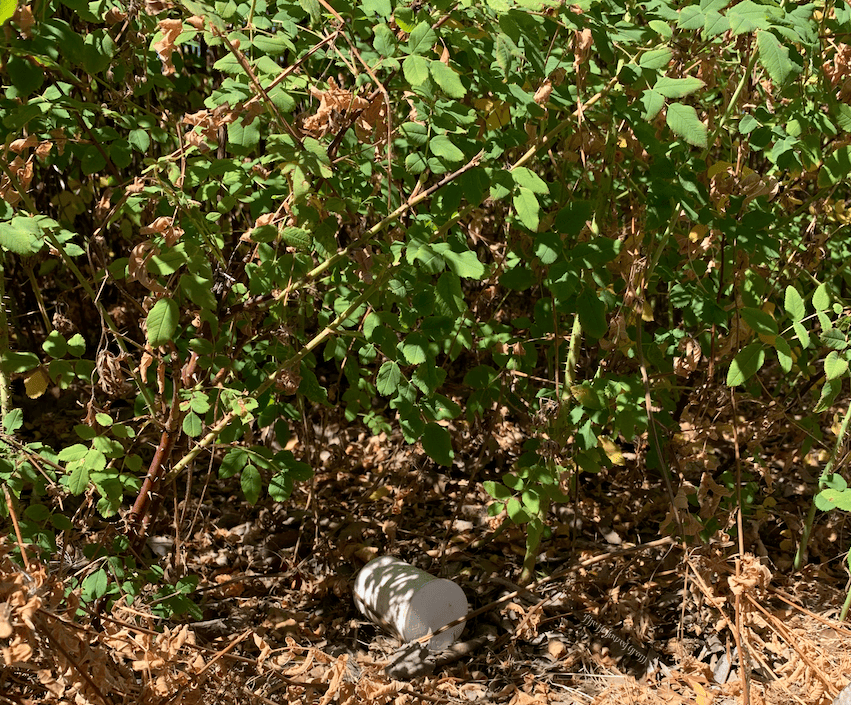 Why Stoner Litterers Are The Fucking Worst 33 cannabis flower canister litter