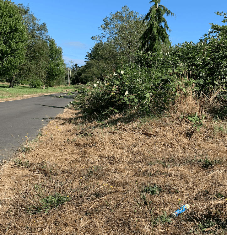 Why Stoner Litterers Are The Fucking Worst 23 pre-roll litter in grass