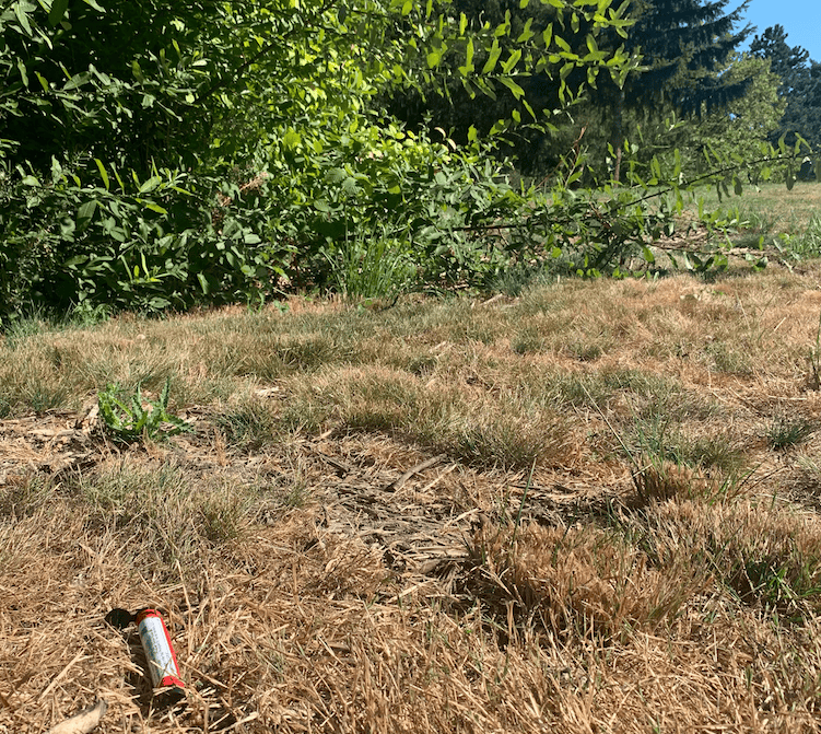 Why Stoner Litterers Are The Fucking Worst 24 pre-roll tube litter at park