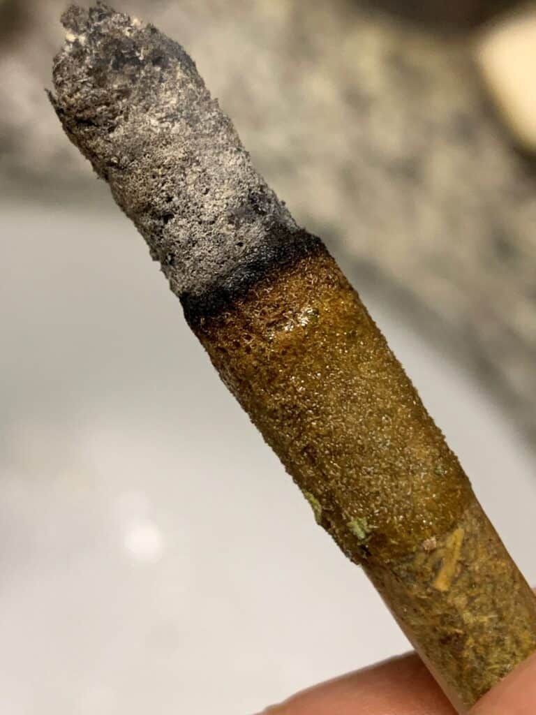 Going Ape For Decibel Farm'S Infused Banana Punch Pre-Rolls 26 decibel farms rosin infused pre-roll