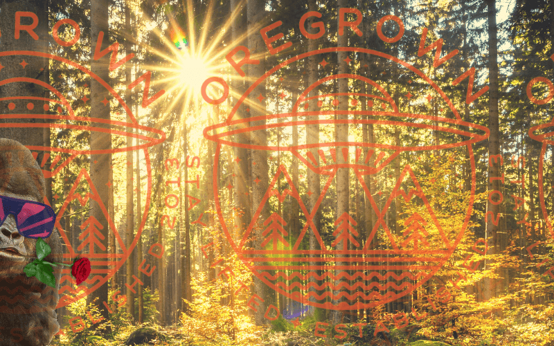 Smackerz Is A Big Earthy Kiss On The Cheek 27 smackerz cannabis