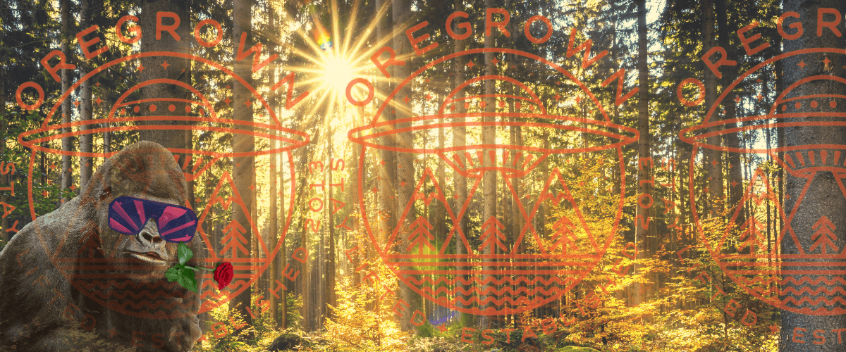 Smackerz Is A Big Earthy Kiss On The Cheek 22 smackerz cannabis