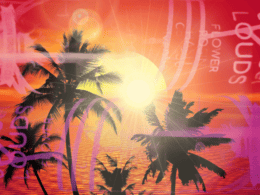 Going Ape For Decibel Farm'S Infused Banana Punch Pre-Rolls 37 banana punch pre-roll review