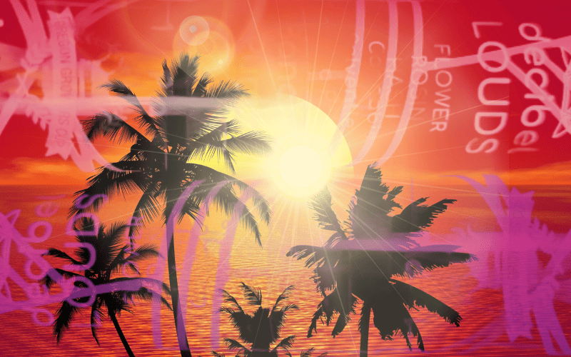 Going Ape For Decibel Farm'S Infused Banana Punch Pre-Rolls 31 banana punch pre-roll review