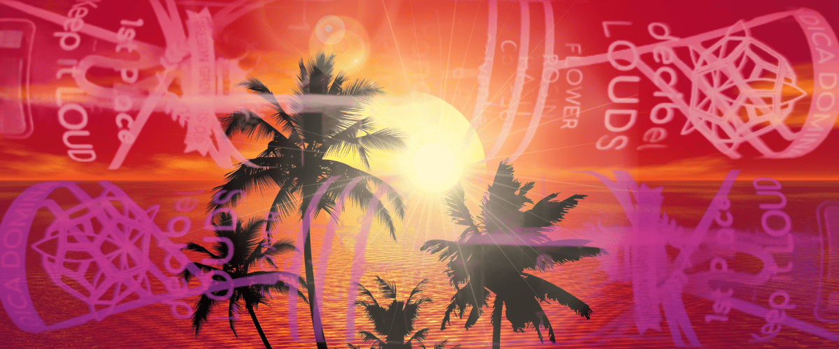 Going Ape For Decibel Farm'S Infused Banana Punch Pre-Rolls 22 banana punch pre-roll review