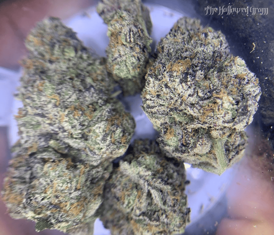 Ice Cream Cake: King Of Dessert Strains? 29 herbal dynamics ice cream cake flower