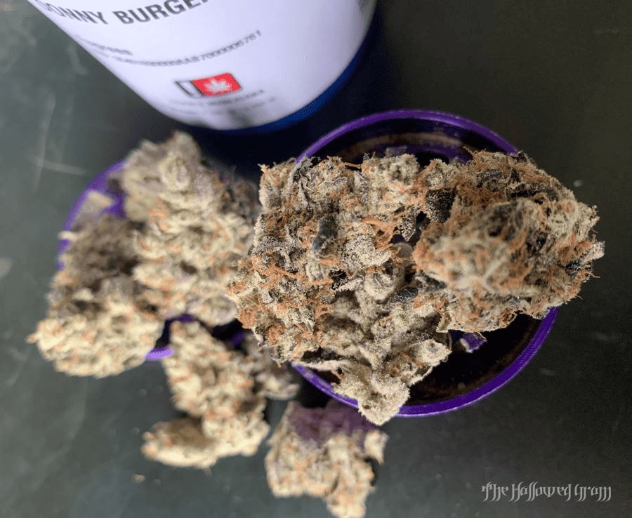 Dining Out With Donny Burger 28 donny burger overview