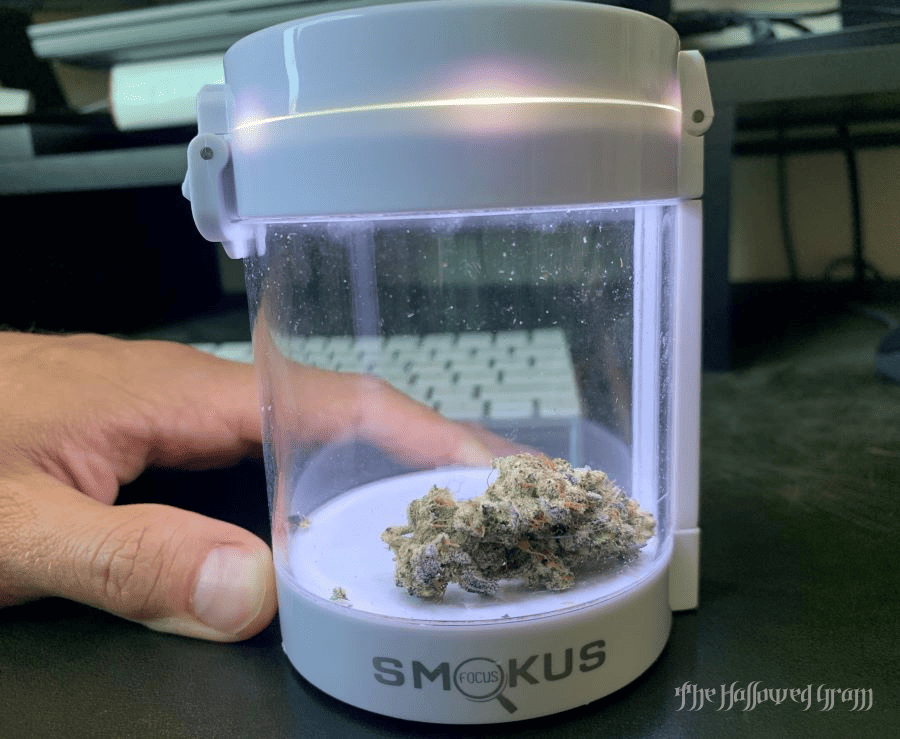 Smokus Focus Magnification Jars 24 smokus focus eclipse jar