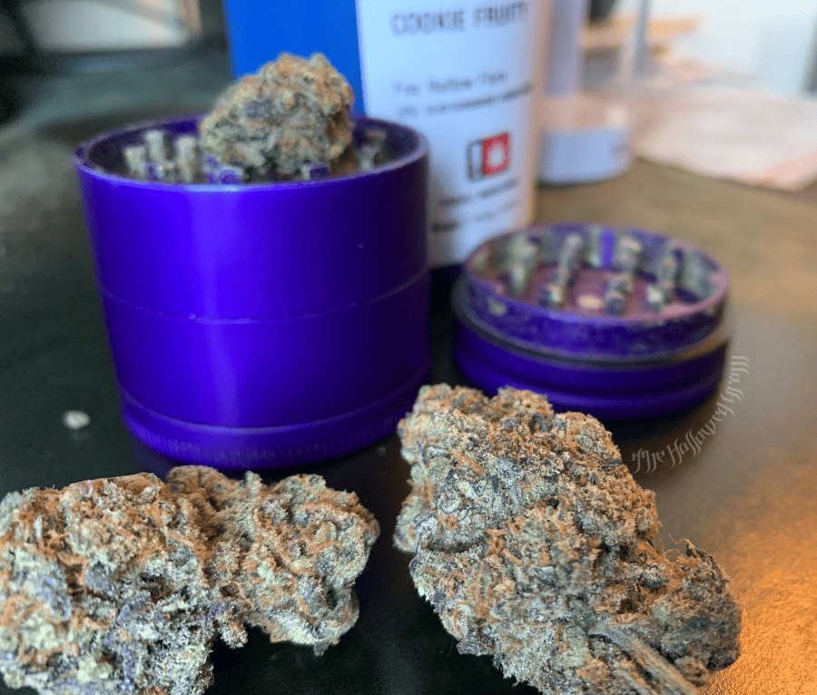 Deciphering The Complexity Of Cookie Fruity 26 cookie fruity cannabis flower