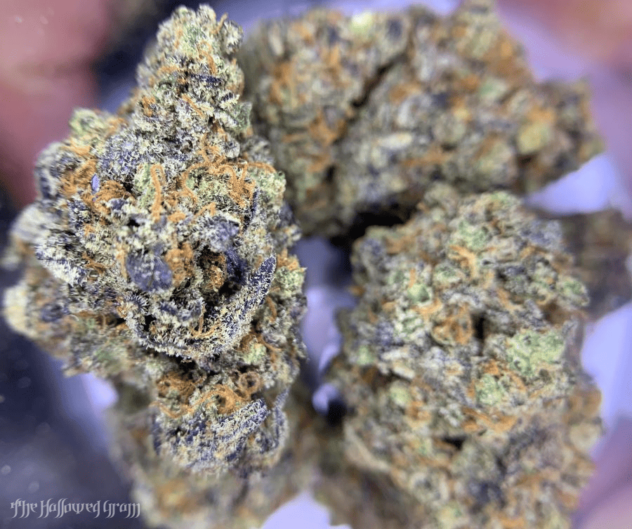 Deciphering The Complexity Of Cookie Fruity 25 cookie fruity overview