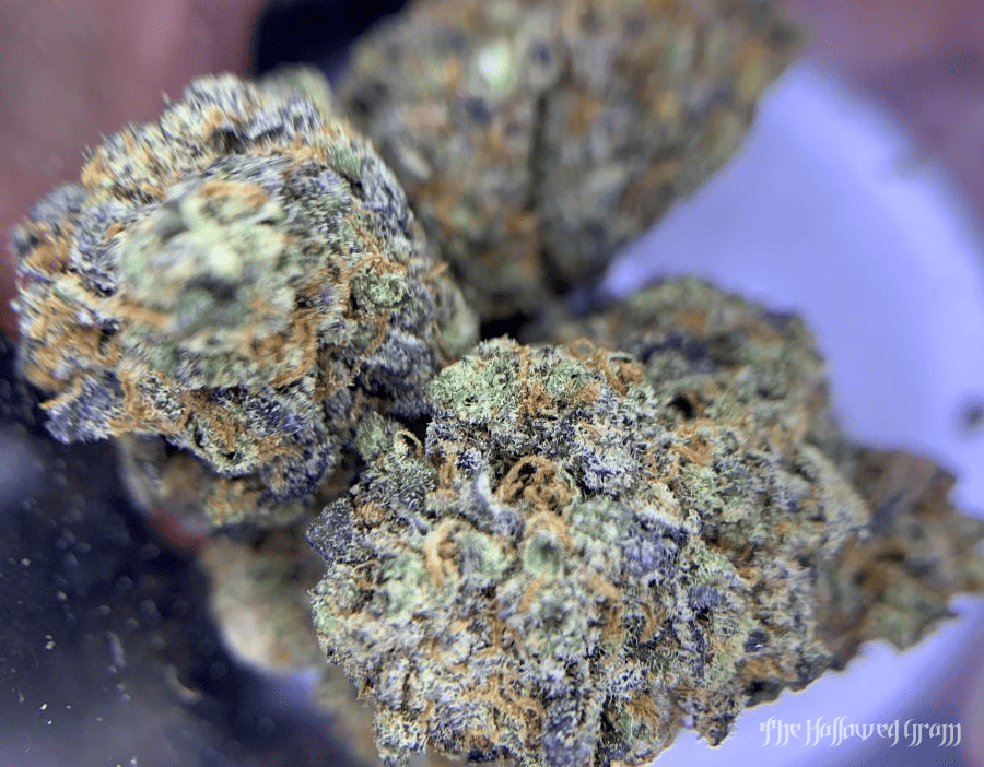 Deciphering The Complexity Of Cookie Fruity 24 fox hollow flora cookie fruity