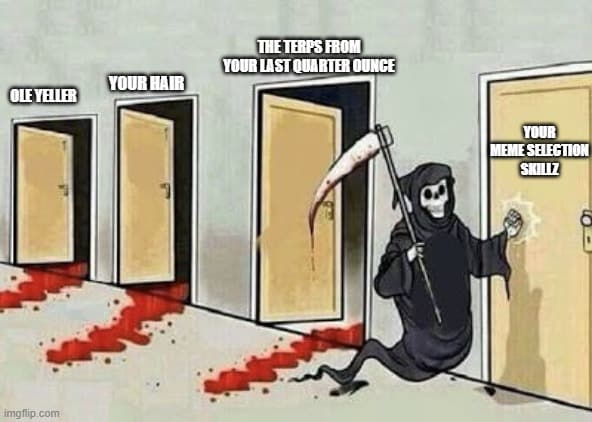 Decoding The Mystery That Is Carbon Fiber 29 terpene meme