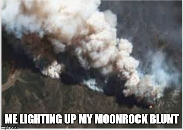 Blazing A Portland Heights Moonrock Blunt 26 moonrock blunt meme