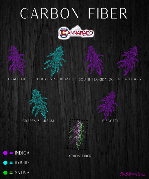 Decoding The Mystery That Is Carbon Fiber 25 carbon fiber strain balanced hybrid