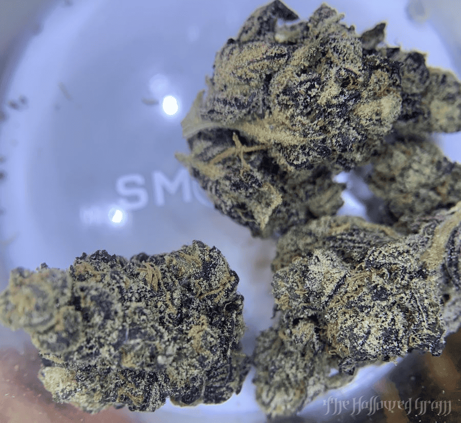 All Aboard The Soul Train, Baby! 28 soul train from eugreen