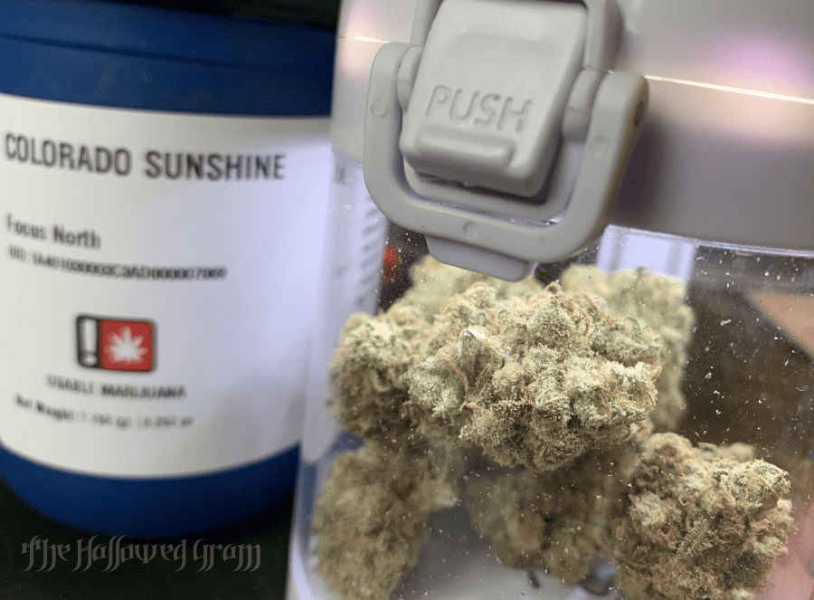 Feeling Colorado Sunshine Shine Down Upon My Brain 30 colorado sunshine in restash jar