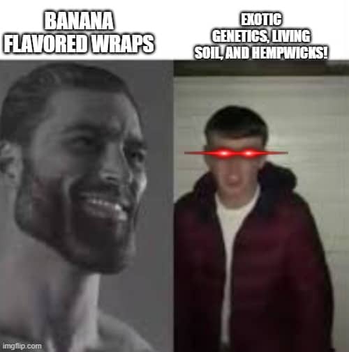 Feeling Colorado Sunshine Shine Down Upon My Brain 27 types of potheads meme