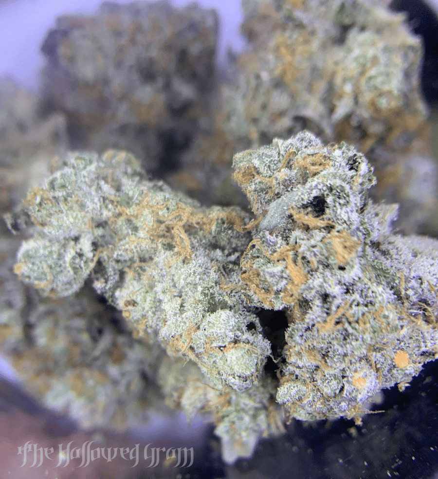 Biscotti Pancakes Is A Full-Bodied Brunch Experience 28 tiki madman biscotti pancakes strain