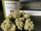 golden pineapple strain overview