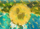 golden pineapple strain overview