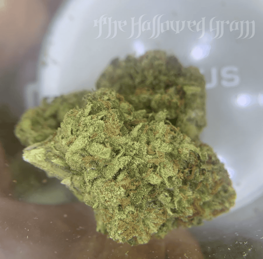 Strawberry Fizz harvested flower, as labeled by the cited photo source