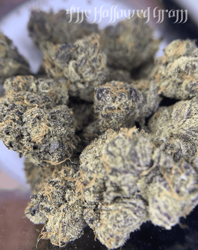 Cake Bomb Is A Cakey Explosion Of Deep Sweet Kushiness 24 cake bomb flower