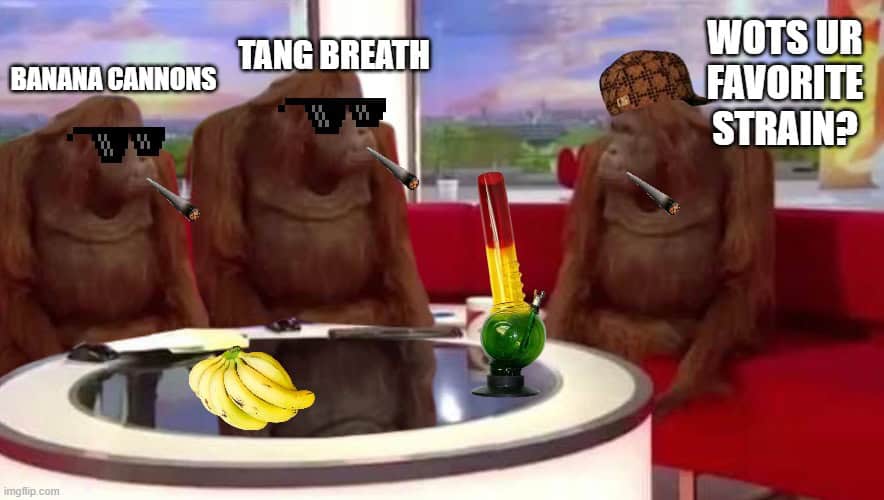 Banana Cannons strain, Banana OG x Cannon Creek, indica‑dominant banana strain, banana‑sweet cannabis flower, Banana Cannons THC flower, banana fruit strain, relaxing indica flower, BayFarmz Banana Cannons, SF cannabis delivery, Banana Cannons calming effects, pain and insomnia strain