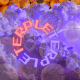terple strain overview