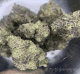 hash burger from skunk house genetics