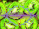 Wyld'S Thcv Enhanced 1:1 Kiwi Gummies Reviewed 40 wyld kiwi thcv effects overview